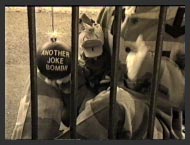 Edd presents Wilson with 'another joke bomb' at the end of his Silent Movie.